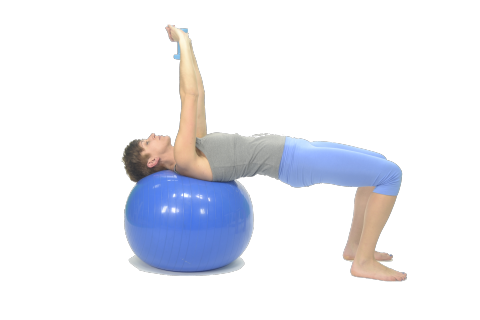 Ejercicios pilates fitball espalda Ejercicios pilates fitball espalda
